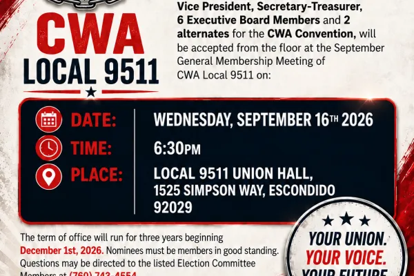 election flyer